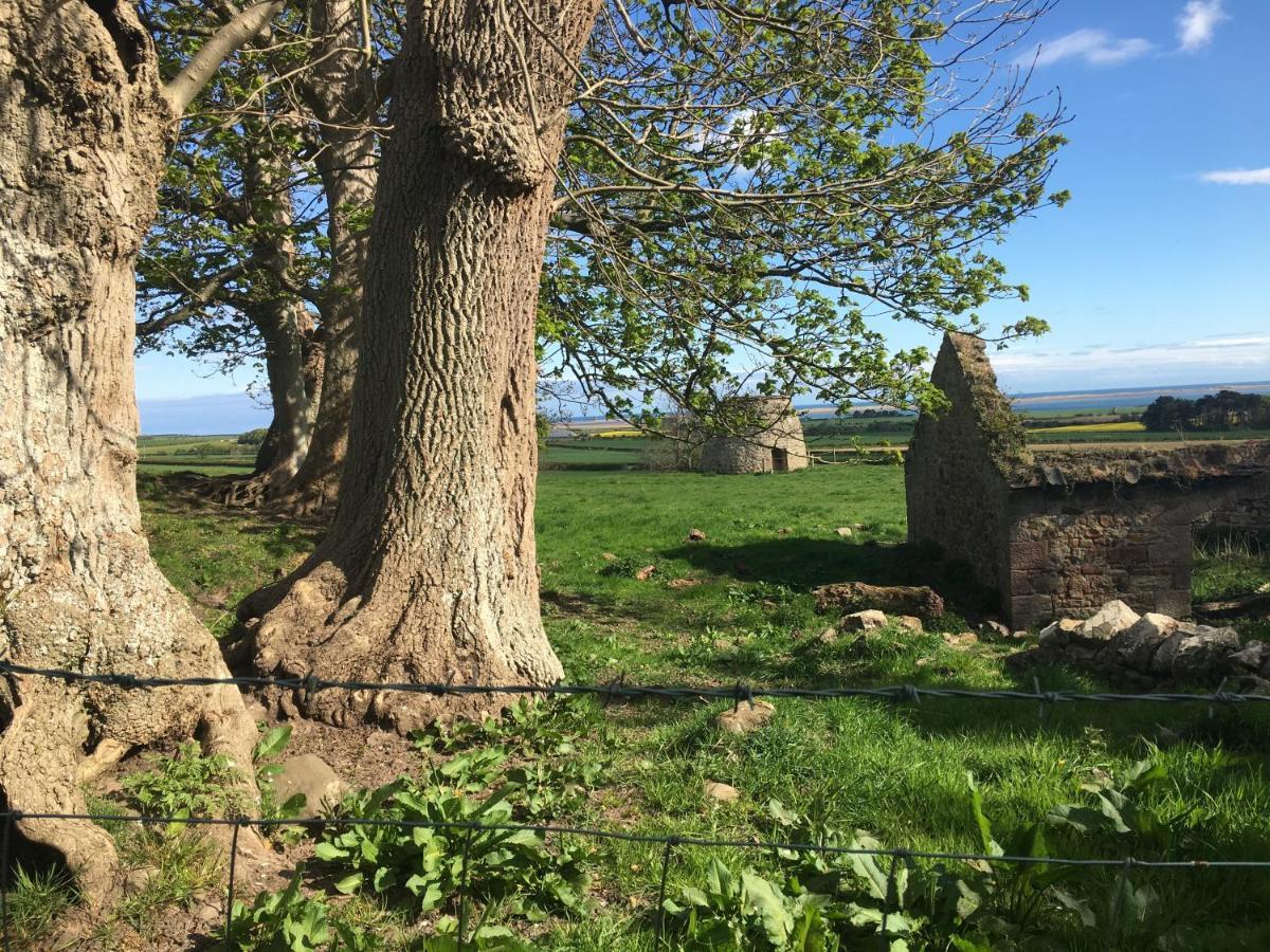Buckton Farmhouse Belford Exterior foto